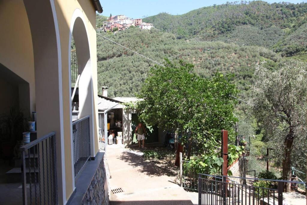 Le Case Della Lizza - Casa Verde Levanto Dış mekan fotoğraf