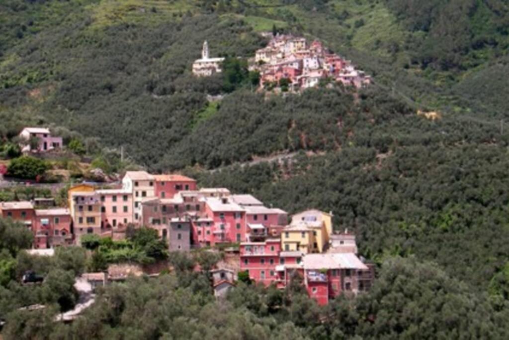 Le Case Della Lizza - Casa Verde Levanto Dış mekan fotoğraf