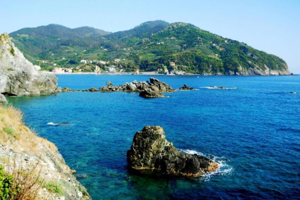 Le Case Della Lizza - Casa Verde Levanto Dış mekan fotoğraf