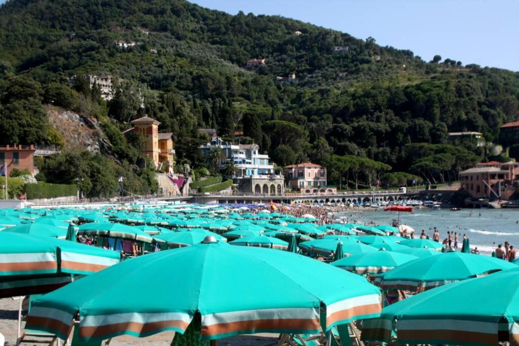 Le Case Della Lizza - Casa Verde Levanto Dış mekan fotoğraf